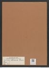 Navicula derasa Grun. (de-Toni-Nr.: Genus 1, Species 173) Zeichnungen Sammlung Grunow Mappe 00147 (Herbarium_W_Grunow_drawings_Folder_00147)